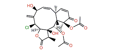 Erythrolide R